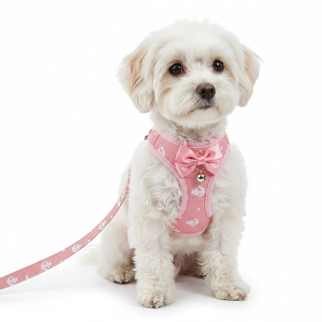 Cat Chain Traction Rope Set, Chest Harness, Cat Harness, Cat Collar, Dog Leash